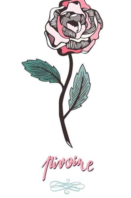 Illustration Une pivoine
