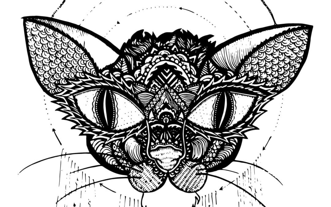 Illustration Le chat